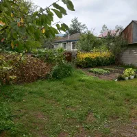 اجاره ماهیانه سوئیت|اجارهٔ خانه و ویلا|اسالم, |دیوار