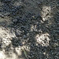 کود گوسفندی|خدمات باغبانی و درختکاری|جهرم, |دیوار