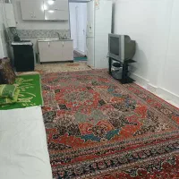 اجاره روزانه منزل|اجارهٔ کوتاه‌مدت آپارتمان و سوئیت|شیراز, نصرآباد|دیوار