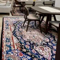 فرش دستبافت طرح سالاری ۳۰رج