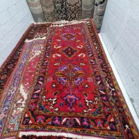 فرش قالیچه ++++|فرش|مراغه, |دیوار