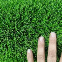 چمن مصنوعی 25 میل