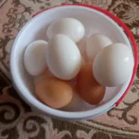 تخم مرغ محلی