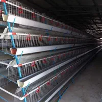 قفس مرغ تخمگذار