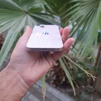 iphone 13 128 ch|موبایل|تهران, هفت حوض|دیوار