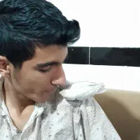 طوطی برزیلی کم یاب