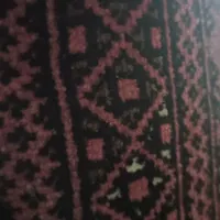 اسکان رایگان