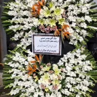 انواع تاج گل تحریم ختم|گل و گیاه طبیعی|ری, علایین|دیوار