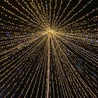 ریسه زنی خلیج نور|خدمات پذیرایی، مراسم|بندرعباس, |دیوار