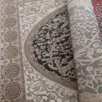 فرش ۶متری|فرش|فردیس, داوری|دیوار