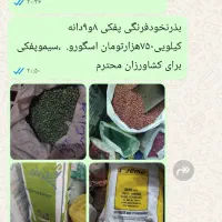 خریدوفروش بذر نخودفرنگی وباقلا برکت|خوردنی و آشامیدنی|جویبار, |دیوار