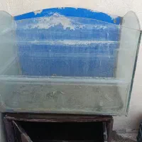 آکواریوم