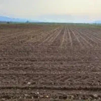 فروش زمین انتهای خیابان شریعتی