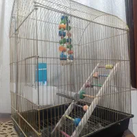 قفس پرنده