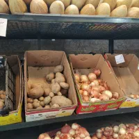 واگذاری میوه فروشی