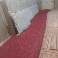 پشتی و پاپشتی