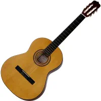 گیتار پارسی m2