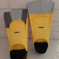 فین شنا