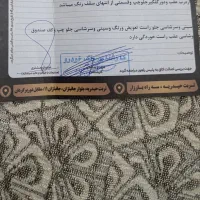 پژو پارس سال، مدل ۱۳۹۶|خودرو سواری و وانت|تربت‌حیدریه, رضاشهر|دیوار