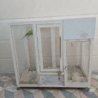 قفس|لوازم جانبی حیوانات|بوشهر, |دیوار