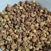 انجیر خشک آفتابی