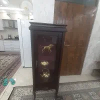 مینی ویترین شیک و کم جا