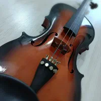 ویالون آموزشی|ویولن|نمین, |دیوار