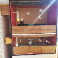 قفس بزرگ پرنده MDF با وسایل