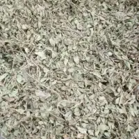آویشن محلی
