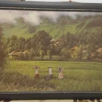 نردبان آهنی.تابلو نقاشی.قالیچه.عسل.چینی و کریستال