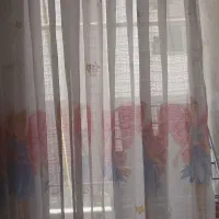 فرش عروسکی و پرده ستش|فرش|منجیل, |دیوار