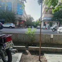 موتورساز ماهر|استخدام صنعتی، فنی، مهندسی|تهران, کاج|دیوار
