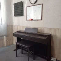 آموزش گیتاروآواز تخصصی توسط مربی خانم(ارائه دیپلم)|خدمات آموزشی|شیراز, بعثت|دیوار
