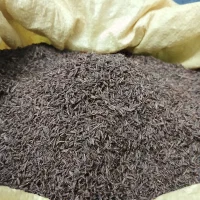 زیره سیاه کرمان