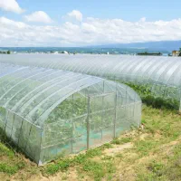 فروش گلخانه