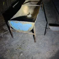 آبشخور  برای گاه