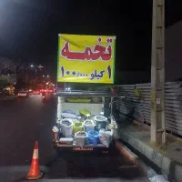 تخمه