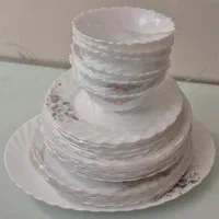 ظروف ۲۵ پارچه گلدن اپال