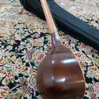 ستارحرفه ای نو و جلد نو بدون ایراد|سازهای سنتی|ملکشاهی, |دیوار