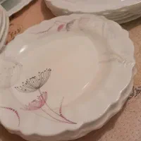 سرویس اکوپا|ظروف سرو و پذیرایی|دوگنبدان, |دیوار