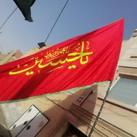 چوب بامبو|مجسمه، تندیس، ماکت|یزد, |دیوار