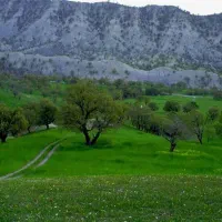 زمین-زنگوان