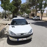 ۲۰۶ SD 94 بدون رنگ