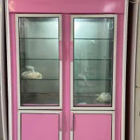 یخچال ویترینی