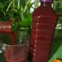 آب زرشک .حبه عناب|خوردنی و آشامیدنی|مشهد, هفت تیر (نه دره)|دیوار