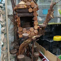 آب نما و کلبه چوبی