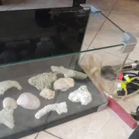 آکواریم کوچک با لوازم