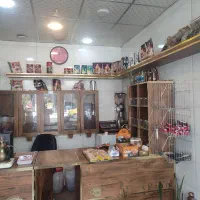 دکوراسیون|کافی‌شاپ و رستوران|قم, نخودی|دیوار