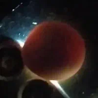 الماس