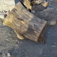 مقداری چوب خشک درخت شب خوس یا ابریشم